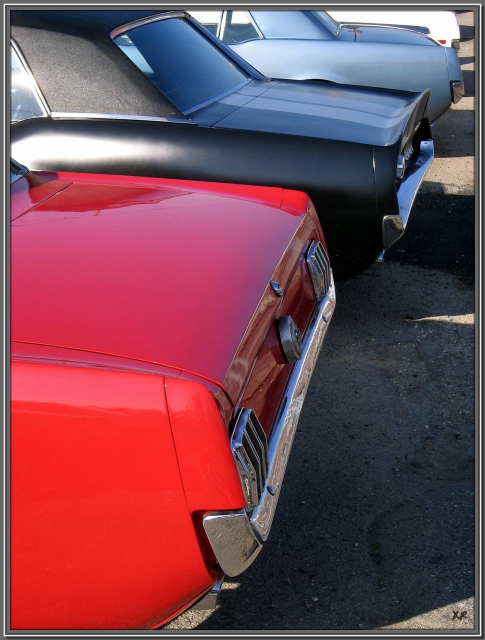 Mustang-6.jpg